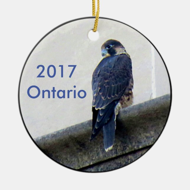 Ceramisk prydnadsföremål Ontario 2017 Julgransprydnad Keramik (Framsidan)