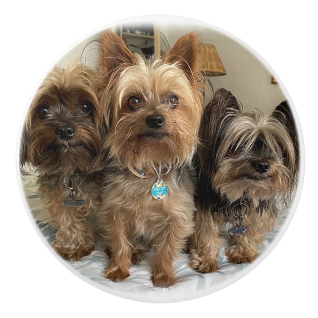 Ceramisk pull knopp (Framsidan)