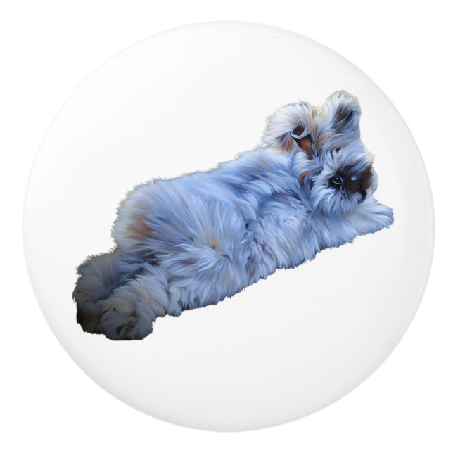 Ceramisk pull knopp (Framsidan)