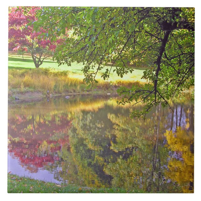 CERAMISK TIL/BEAUTIFUL FÄRG SOM ÅTERSPEGLATS I PON KAKELPLATTA (Framsidan)