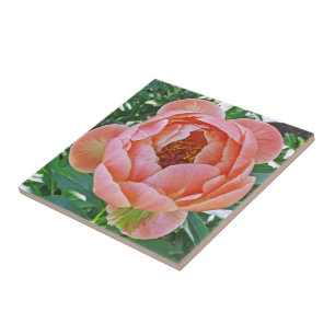 CERAMISK TIL/TRIVET MED ROSA PERSONER KAKELPLATTA