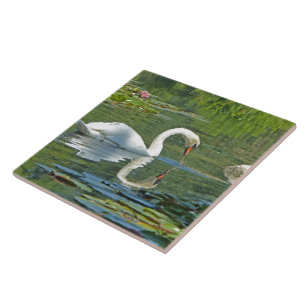 CERAMISK TIL/TRIVET, "SVAN ON LILY POND" KAKELPLATTA