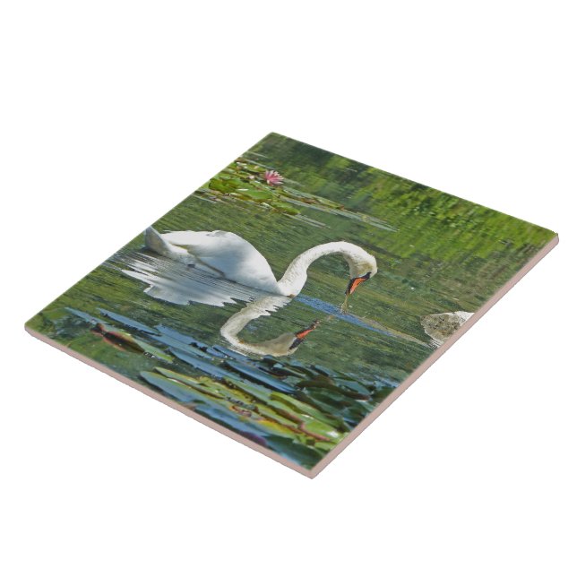 CERAMISK TIL/TRIVET, "SVAN ON LILY POND" KAKELPLATTA (Sidan)