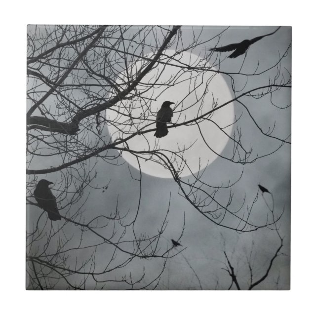 Ceramiska plattor för vilda fåglar kakelplatta (Framsidan)