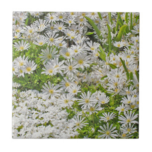 CERAMISTISK TID/TRIVET MED VITE SHASTA-DAISY KAKELPLATTA