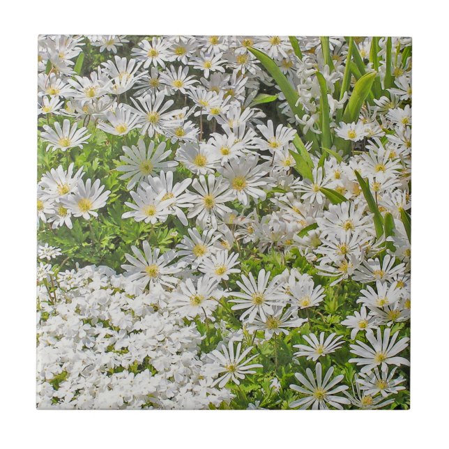 CERAMISTISK TID/TRIVET MED VITE SHASTA-DAISY KAKELPLATTA (Framsidan)