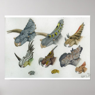 Ceratopiska huvuden Skriv ut Poster
