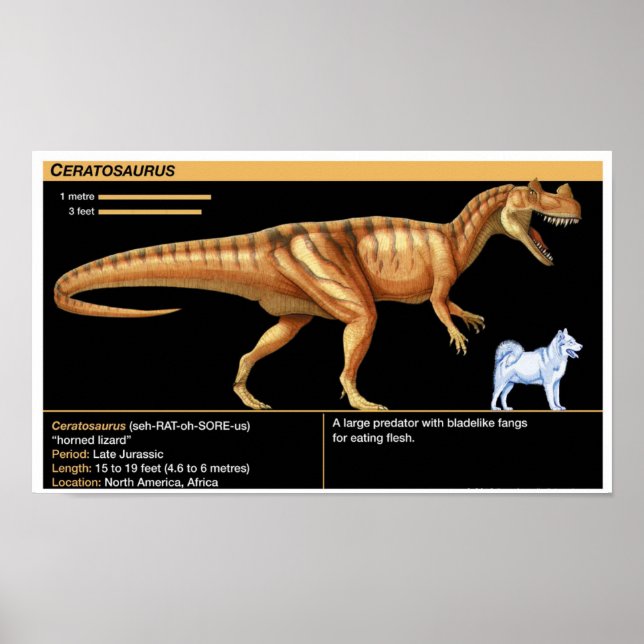 Ceratosaurus - Biologi Juraperioden Poster (Framsidan)