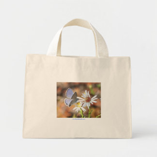 Ceraunus Blue Butterfly Blue Rand Tote Bag Mini Tygkasse