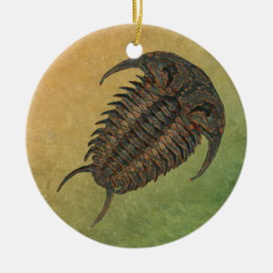 Ceraurus Fossil Trilobite Julgransprydnad Keramik