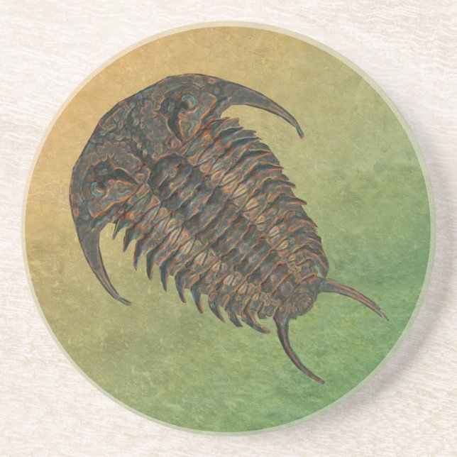 Ceraurus Fossil Trilobite Underlägg Sandsten (Framsidan)