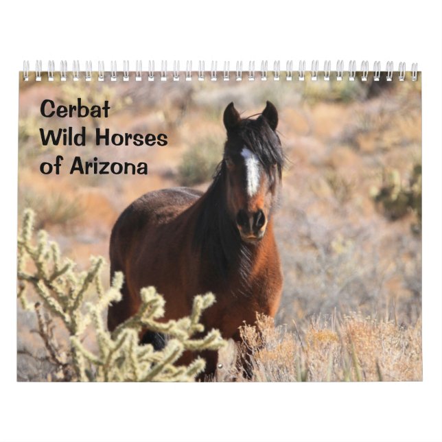 Cerbat Wild Horses Calendar Kalender (Omslag)