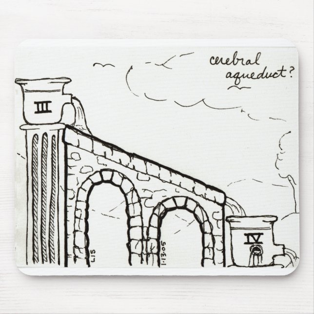 Cerebral akveduktmousepad musmatta (Framsidan)