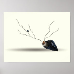 Cerebration Existing Inspiration Snigel Seashell Poster