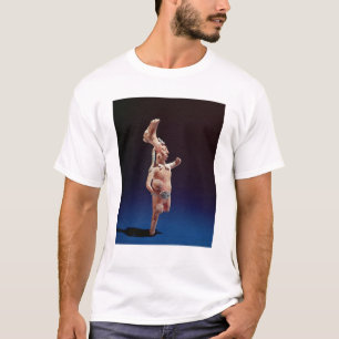 Ceremoniell basebollspelare, Isle av Jaina, c.600 T Shirt