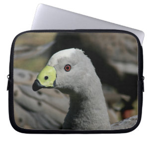 Cereopsis novaehollandiae eller Cape Barren Goose Laptop Fodral