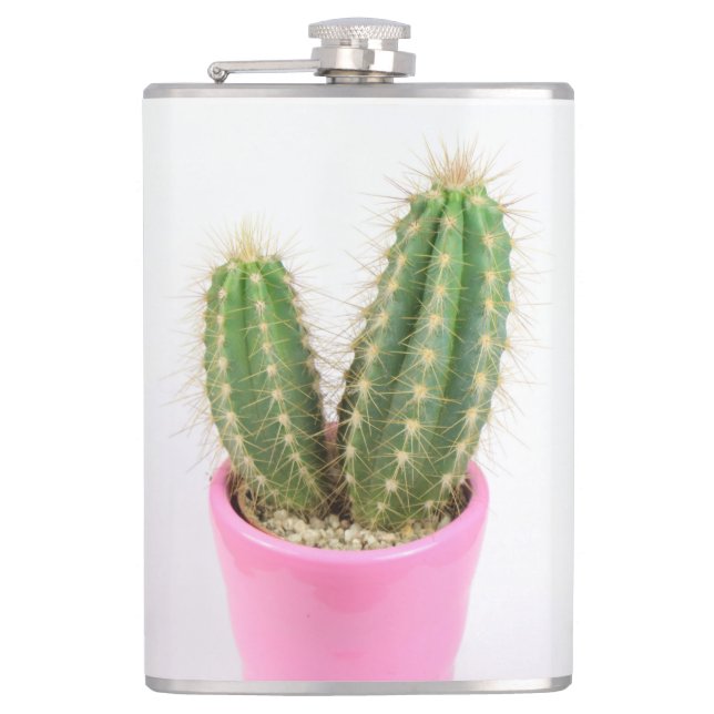 Cereus cactus fickplunta (Framsidan)