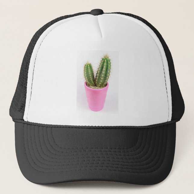 Cereus cactus i en rosa pot keps (Framsida)