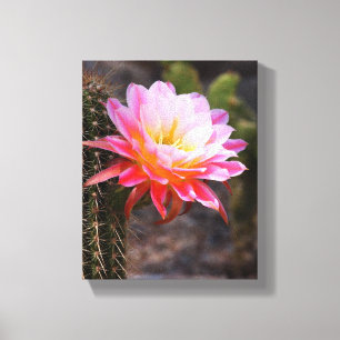 Cereus i rosa kaktusblom canvastryck