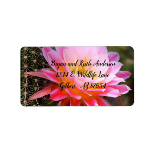 Cereus in Rosa Cactus Bloom Adressetikett