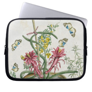 Cereus Minimus, c.1745 (den färgade lithoen) Laptop Sleeve