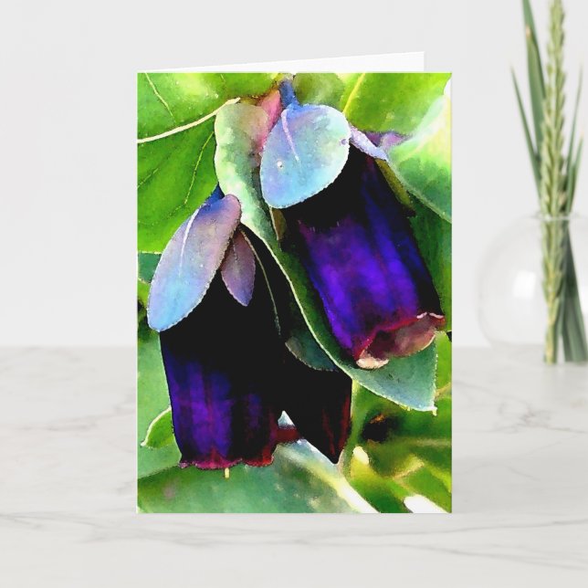 CERINTHE NOTECARD/BLANK KORT (Framsida)
