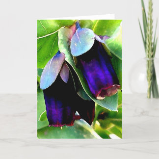 CERINTHE NOTECARD/BLANK KORT