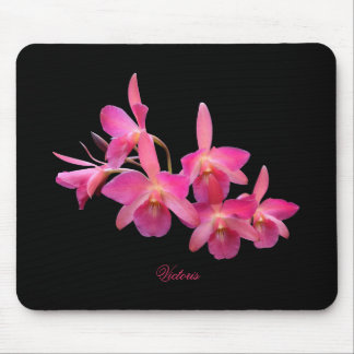 Cerise, Shock rosa, Red, Orchids Black Mouse Pad Musmatta