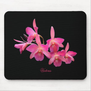 Cerisen shock rosa som är röd, Orchids svärtar Musmatta