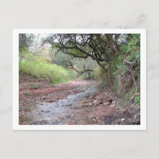 cerro colorado vykort