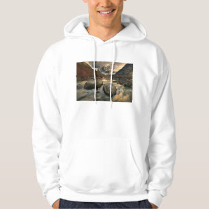 Cerro Torre Sweatshirt Med Luva