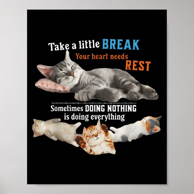 Certified Nap Expert Funny Lazy Cat Meme Cat Moms  Poster (Framsidan)