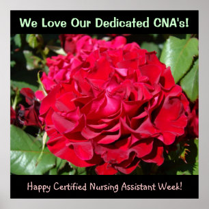 Certified Nursing Assistants Week konsttryck CNAs Poster
