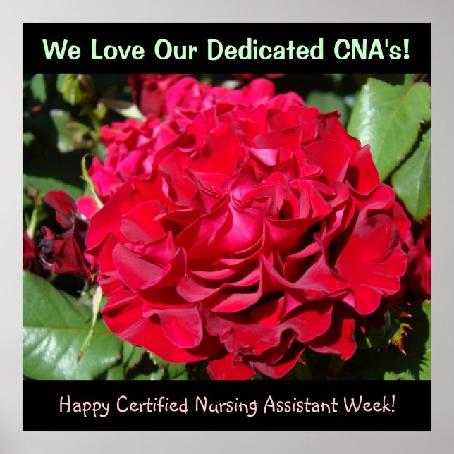 Certified Nursing Assistants Week konsttryck CNAs Poster (Framsidan)