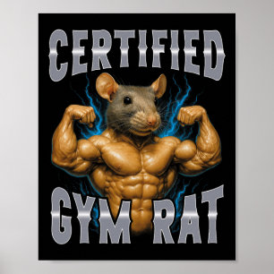 Certifierad gymratte poster