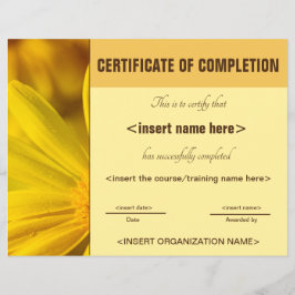 Certifikat för ifyllande