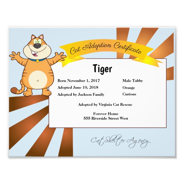 Certifikat för kattadoption fototryck (Framsidan)