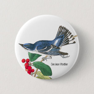 Cerulean Warbler by Audubon, Birder Mode Bära, Knapp