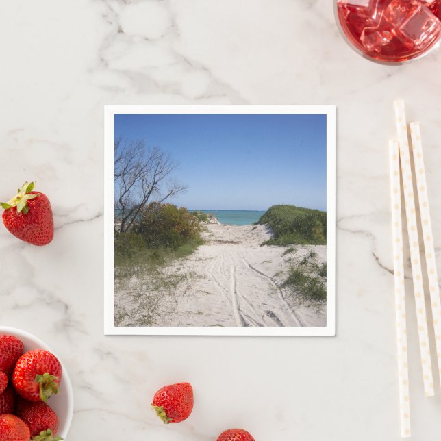 Cervantes WA Papper Pappersservett (Insitu)