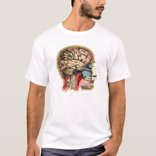 Cervical rygg för människahjärnskalle tee shirt
