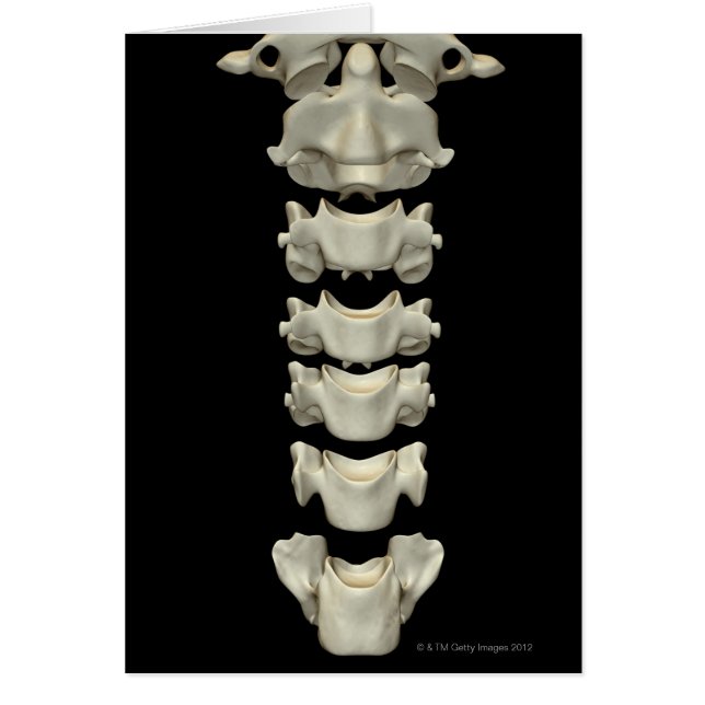 Cervical Vertebrae 7 Hälsningskort (Framsidan)