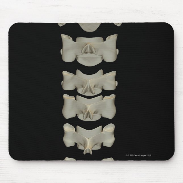 Cervical Vertebrae Musmatta (Framsidan)