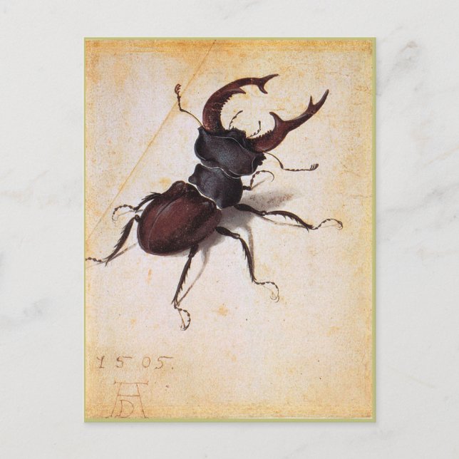 Cervus Lucanus av Albrecht Durer Vykort (Framsida)