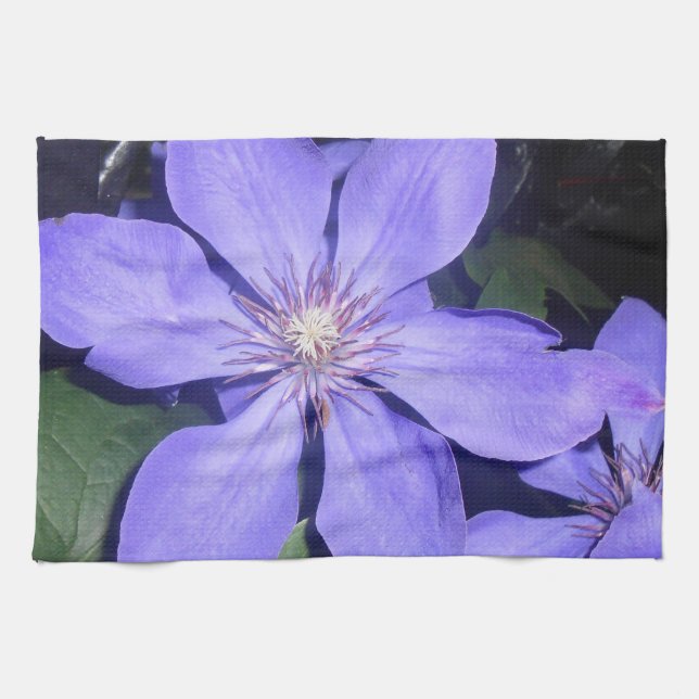 Césarin Kökshandduk (Horisontell)