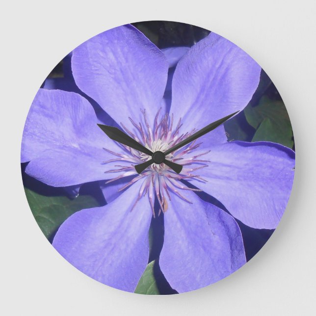 Césarin Stor Klocka (Framsida)