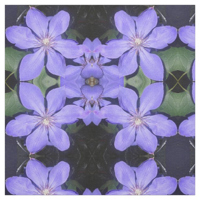 Césarin Tyg (Provkarta)