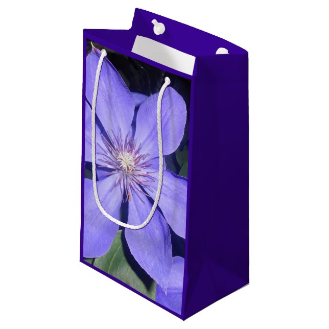 Césarine (Framsidan Vinklad)