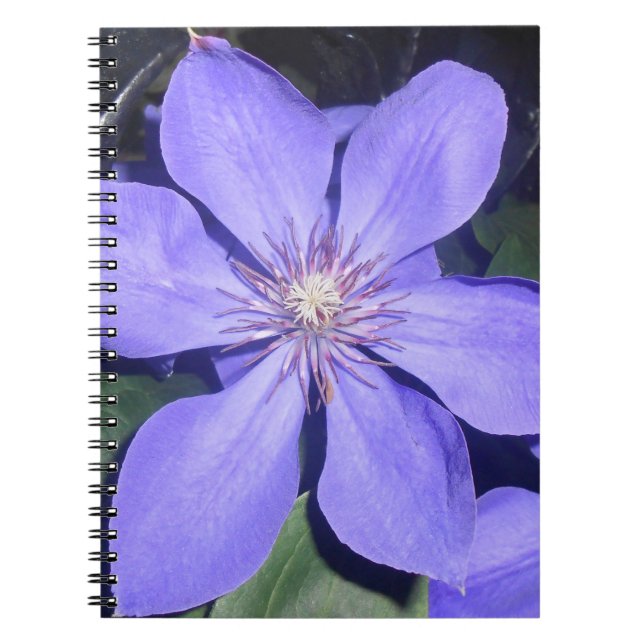 Césarine Anteckningsbok (Framsidan)