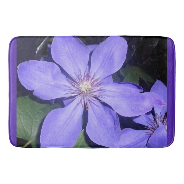 Césarine Badrumsmatta (Framsidan)