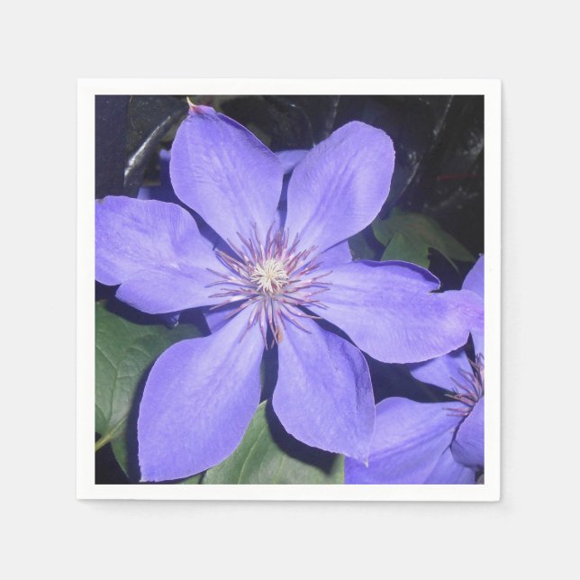 Césarine Pappersservett (Framsidan)